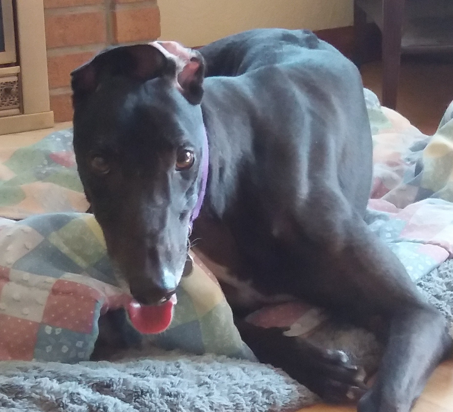 Whiskey Diva